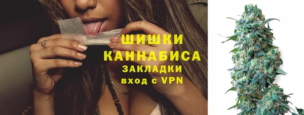 сатива Надым
