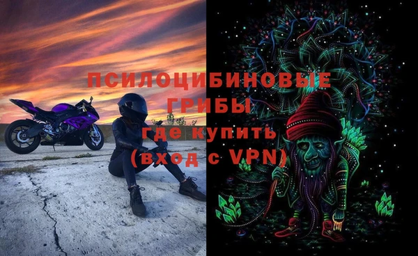 сатива Надым