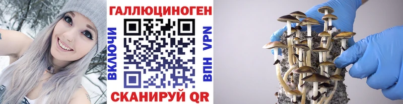 блэк спрут ссылка  Куйбышев  Галлюциногенные грибы мицелий  купить наркотики цена 