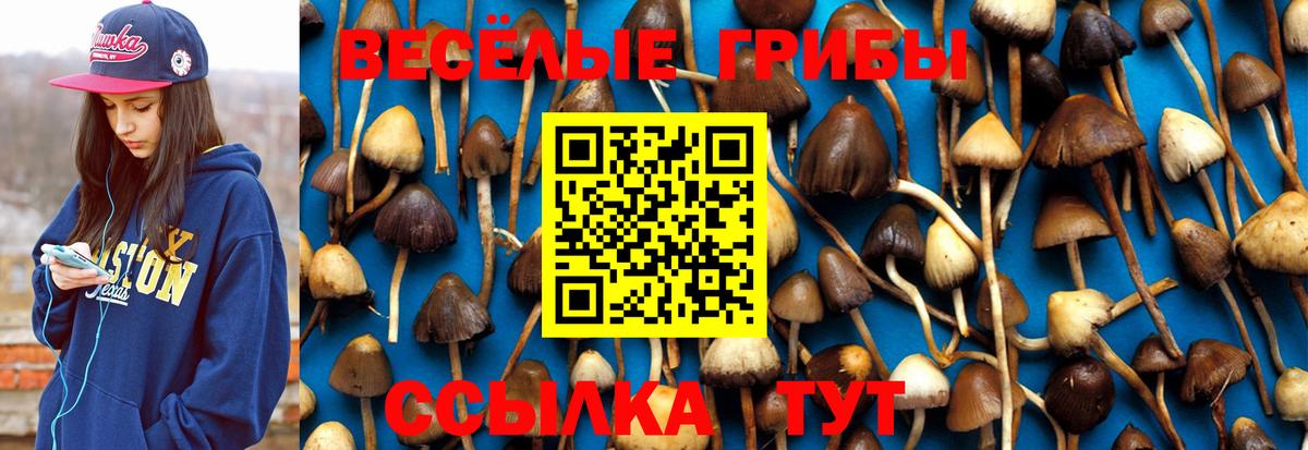 Псилоцибиновые грибы Magic Shrooms  Галлюциногенные грибы Cubensis  Вход с VPN  Куйбышев 